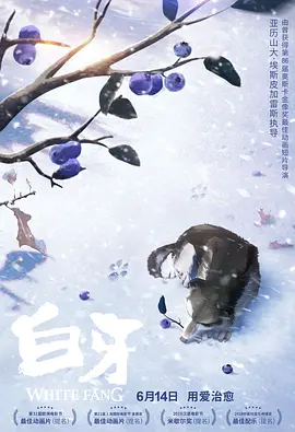 快播激情网